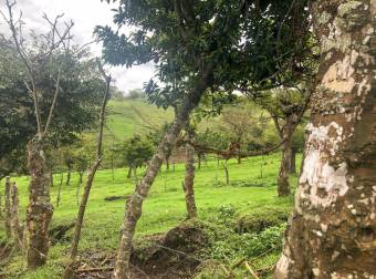 VENTA DE FINCA EN SAN RAFAEL DE CORONADO