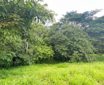 Lot for sale in Cerro Colon Condominium