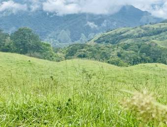 VENDO TERRENO CON CASA SABANILLAS DE ACOSTA 