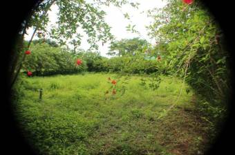 Venta de lote con alto potencial turistico, ubicado en Uvita Bahia Ballena muy cerca parque nacional