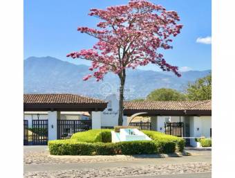 Vendo Lote en Condominio Tierras de Café Heredia 