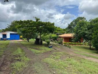 MLS-24-1800 ALQUILER FINCA CON CASA OROTINA ALAJUELA