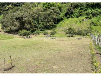 Lote Monteverde, Puntarenas