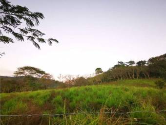 Finca Lepanto Puntarenas 