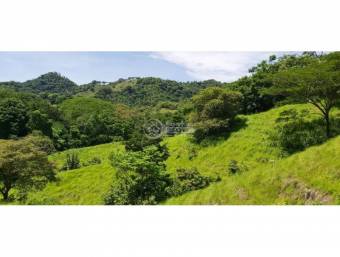 Finca Lepanto Puntarenas 