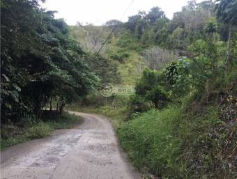 Finca Barroeta Atenas de Alajuela 