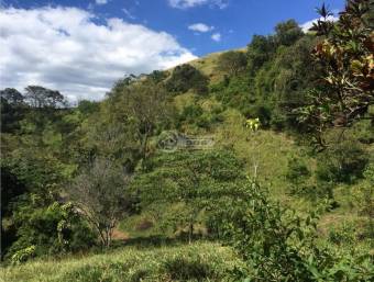 Finca Barroeta Atenas de Alajuela 