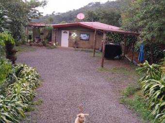 Se vende amplio lote con mas de 5,300m2 junto a una casa en San Ramon de Alajuela 24-1803