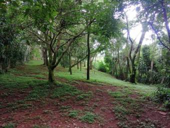 Venta de Finca en Puriscal, San José. RAH 24-1828