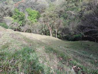 Venta de Finca en Puriscal, San José. RAH 24-1828