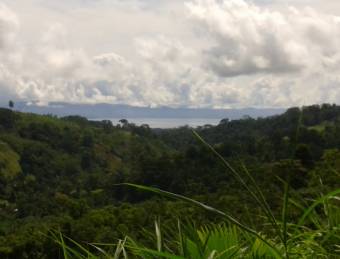 Cuenta con  nacientes de agua,le rodea el río barrigónes, cuenta con una gran área de montaña .