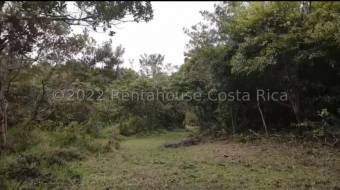 MLS-24-1860 VENTA LOTE DE 156.000M2 SAN JERONIMO MORAVIA