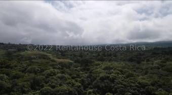 MLS-24-1860 VENTA LOTE DE 156.000M2 SAN JERONIMO MORAVIA