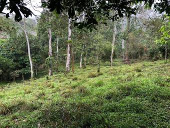 MLS-23-2560 VENTA LOTE LA ORTIGA TURRIALBA MLS-23-2560 VENTA LOTE LA ORTIGA TURRIALBA