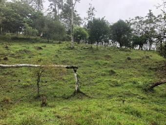 MLS-23-2560 VENTA LOTE LA ORTIGA TURRIALBA MLS-23-2560 VENTA LOTE LA ORTIGA TURRIALBA