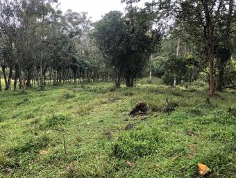 MLS-23-2560 VENTA LOTE LA ORTIGA TURRIALBA MLS-23-2560 VENTA LOTE LA ORTIGA TURRIALBA