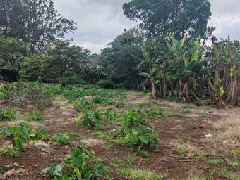 MLS-25-387 LS VENTA LOTE SAN RAFAEL HEREDIA MLS-25-387 LS VENTA LOTE SAN RAFAEL HEREDIA