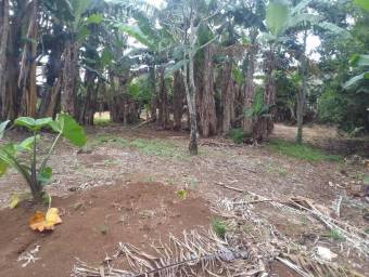 MLS-25-387 LS VENTA LOTE SAN RAFAEL HEREDIA MLS-25-387 LS VENTA LOTE SAN RAFAEL HEREDIA