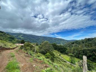 Property for Sale located in La Trinidad de Dota 