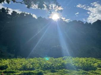 Property for Sale located in La Trinidad de Dota 