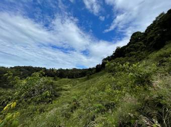 Property for Sale located in La Trinidad de Dota 