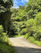 Property for Sale located in La Trinidad de Dota 