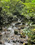 Property for Sale located in La Trinidad de Dota 