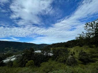 Property for Sale located in La Trinidad de Dota 