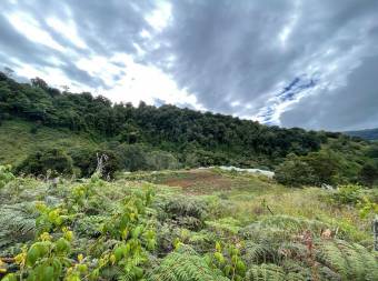 Property for Sale located in La Trinidad de Dota 