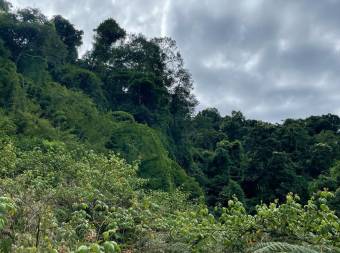 Property for Sale located in La Trinidad de Dota 