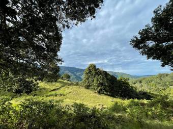 Property for Sale located in La Trinidad de Dota 