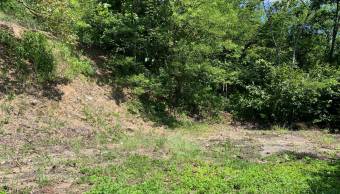 Beautiful Mountain View Property for Sale in Lorena, Costa Rica