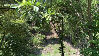 Beautiful Mountain View Property for Sale in Lorena, Costa Rica