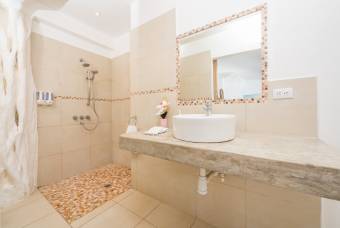 Oportunidad de Inversión Tropical en La Garita Nueva Oportunidad de Inversión Tropical en La Garita Nueva