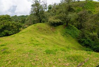 VENTA DE FINCA, CARTAGO, CARTAGO, LLANO GRANDE  