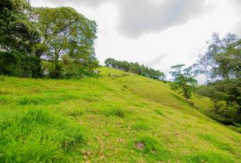 VENTA DE FINCA, CARTAGO, CARTAGO, LLANO GRANDE  