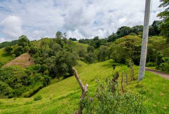VENTA DE FINCA, CARTAGO, CARTAGO, LLANO GRANDE  