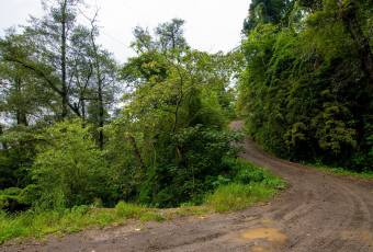 VENTA DE FINCA, CARTAGO, CARTAGO, LLANO GRANDE  