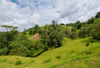 VENTA DE FINCA, CARTAGO, CARTAGO, LLANO GRANDE  
