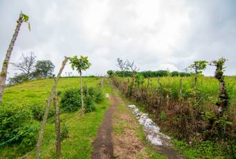VENTA DE FINCA, CARTAGO, CARTAGO, LLANO GRANDE  