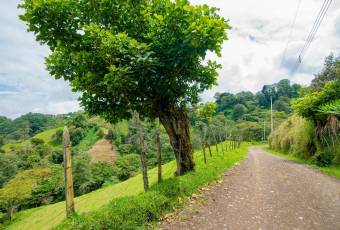 VENTA DE FINCA, CARTAGO, CARTAGO, LLANO GRANDE  