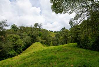 VENTA DE FINCA, CARTAGO, CARTAGO, LLANO GRANDE  