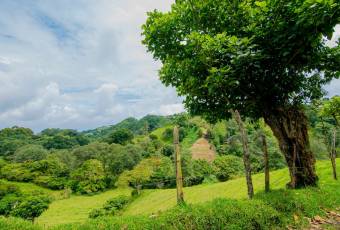 VENTA DE FINCA, CARTAGO, CARTAGO, LLANO GRANDE  