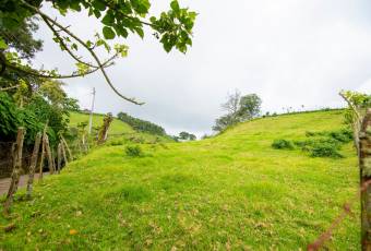 VENTA DE FINCA, CARTAGO, CARTAGO, LLANO GRANDE  