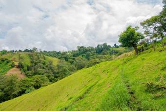 VENTA DE FINCA, CARTAGO, CARTAGO, LLANO GRANDE  