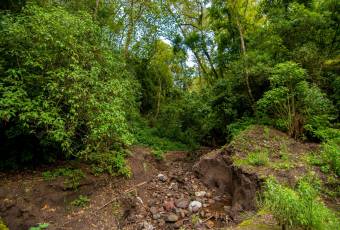 VENTA DE FINCA, CARTAGO, CARTAGO, LLANO GRANDE  