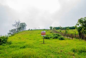 VENTA DE FINCA, CARTAGO, CARTAGO, LLANO GRANDE  