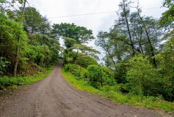 VENTA DE FINCA, CARTAGO, CARTAGO, LLANO GRANDE  