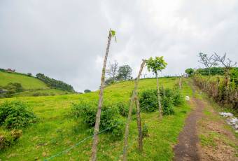 VENTA DE FINCA, CARTAGO, CARTAGO, LLANO GRANDE  