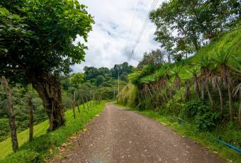 VENTA DE FINCA, CARTAGO, CARTAGO, LLANO GRANDE  